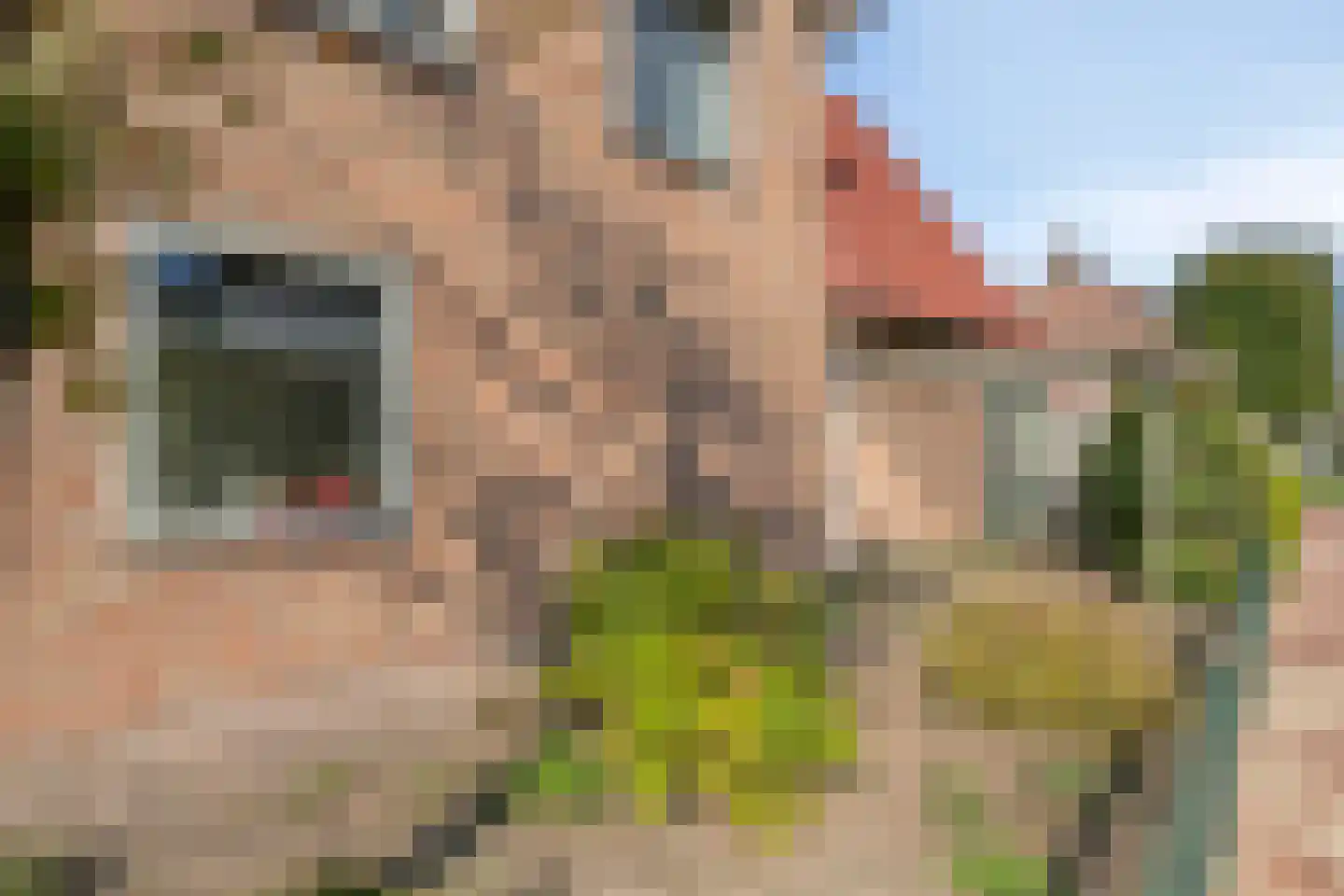 Irenelaan 38 Oss thumbnail 57