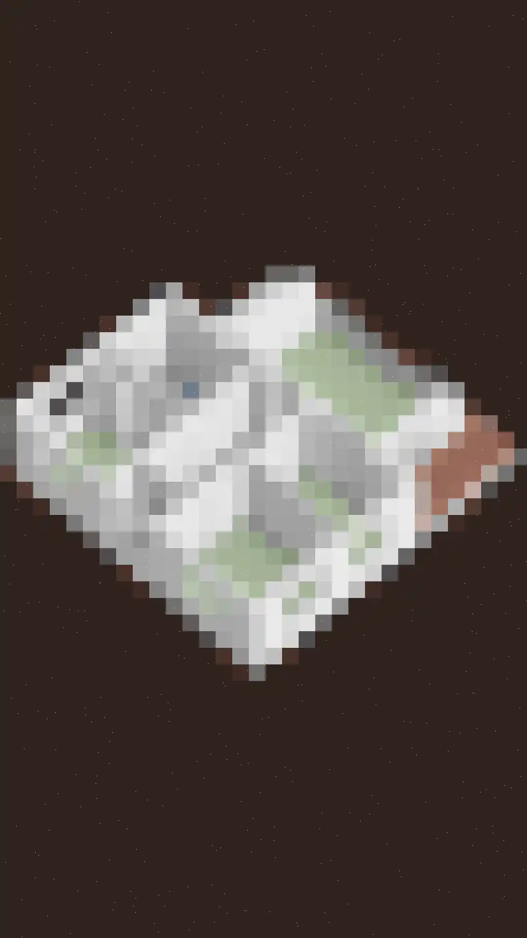 Irenelaan 38 Oss thumbnail 61