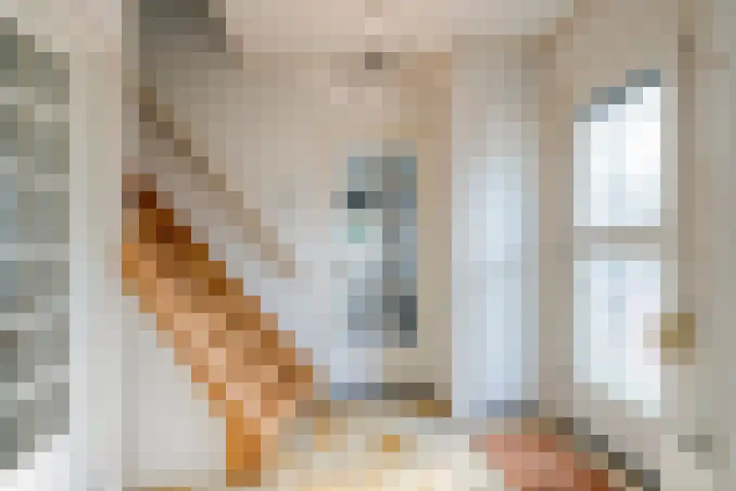 Irenelaan 38 Oss thumbnail 8