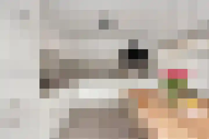 Irenelaan 4 Beverwijk thumbnail 15