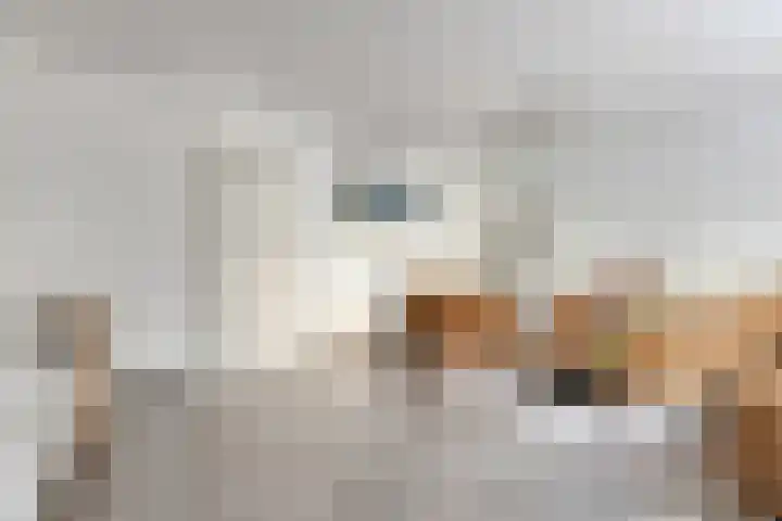 Irenelaan 4 Beverwijk thumbnail 8