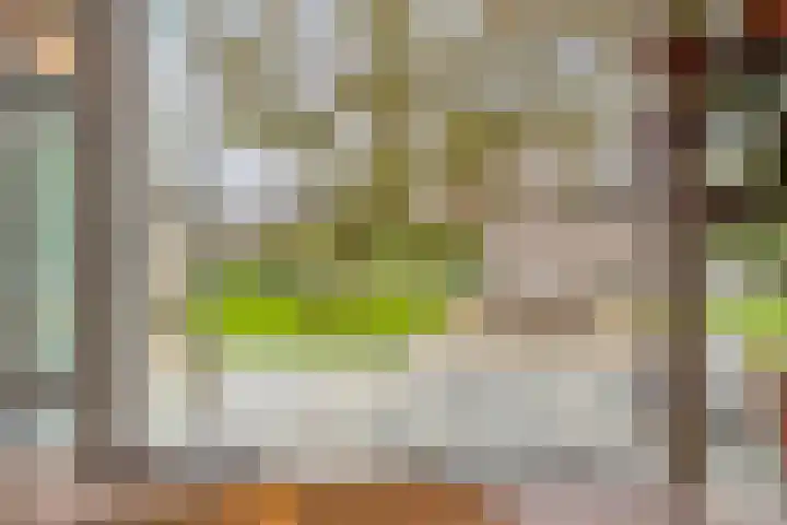 Irenelaan 4 Sittard thumbnail 17