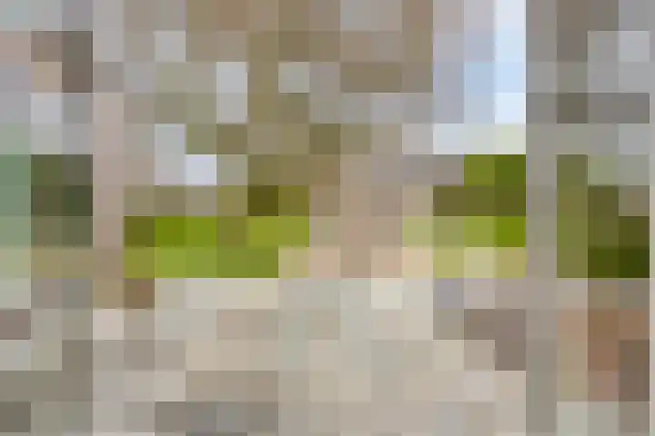 Irenelaan 4 Sittard thumbnail 18