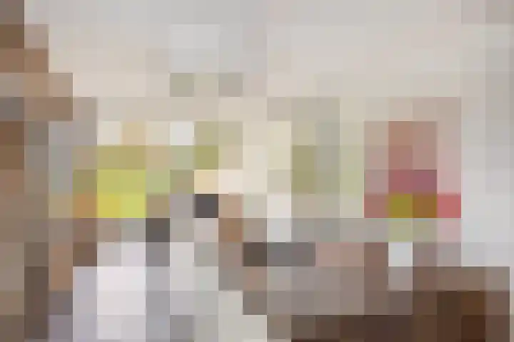 Irenelaan 4 Sittard thumbnail 20