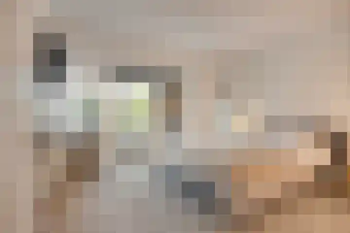 Irenelaan 4 Sittard thumbnail 25