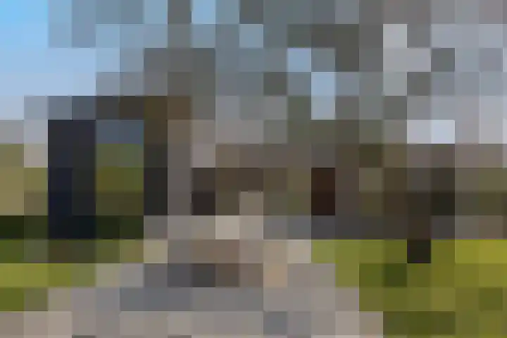Irenelaan 4 Sittard thumbnail 42