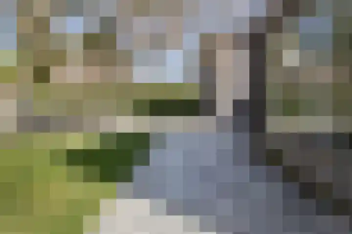 Irenelaan 4 Sittard thumbnail 51