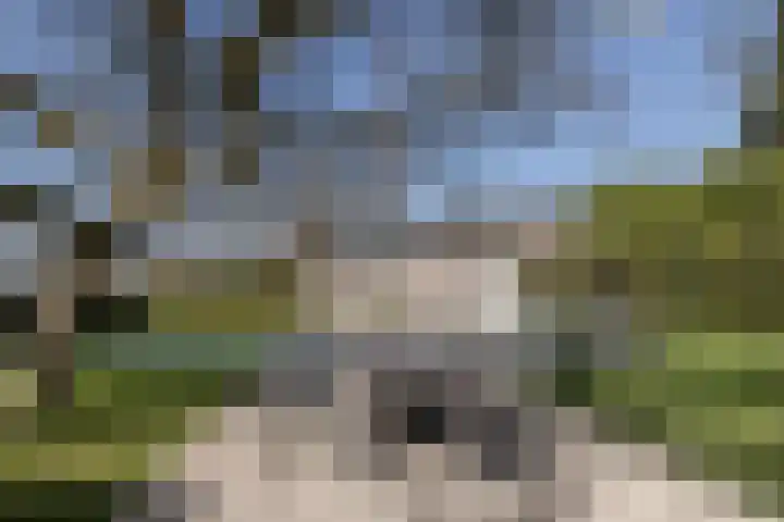 Irenelaan 4 Sittard thumbnail 53