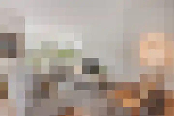 Irenelaan 4 Sittard thumbnail 9