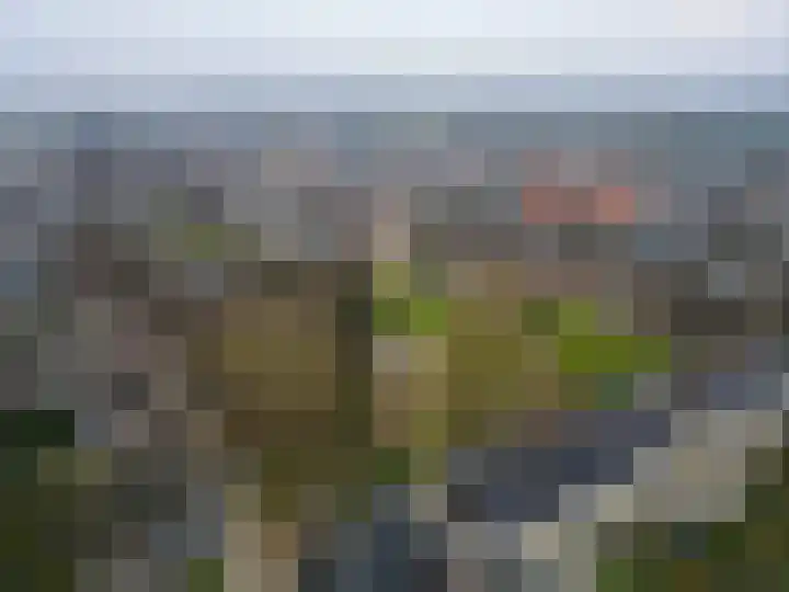 Irenelaan 4 Vught thumbnail 45