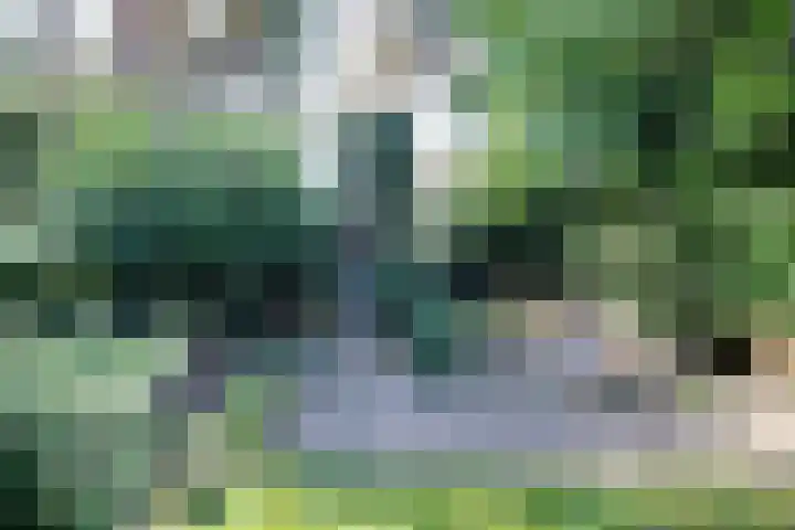 Irenelaan 40 Ede thumbnail 38
