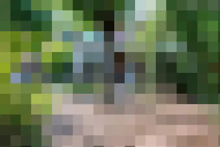Irenelaan 40 Ede thumbnail 39