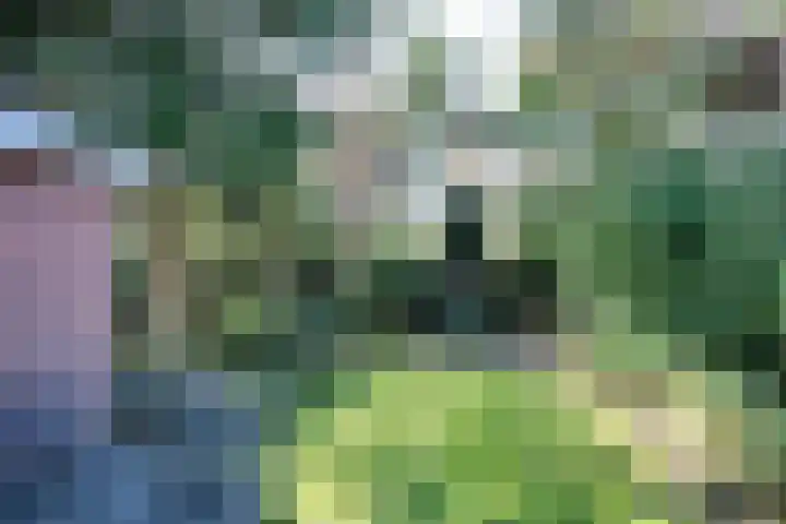 Irenelaan 40 Ede thumbnail 7