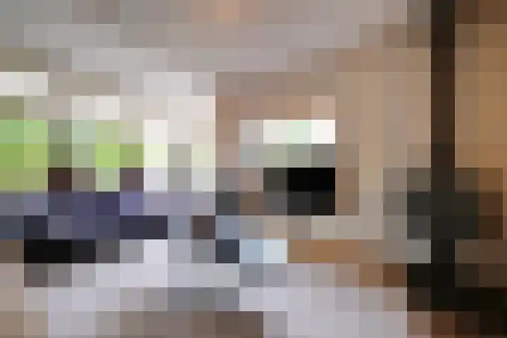 Irenelaan 40 Ede thumbnail 8