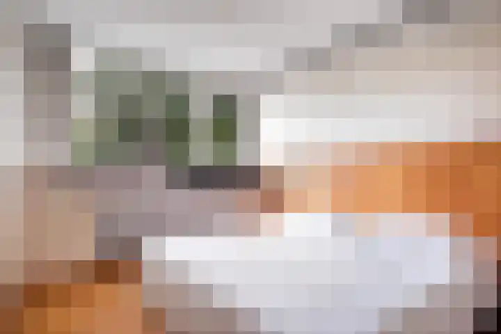 Irenelaan 45 Soest thumbnail 11
