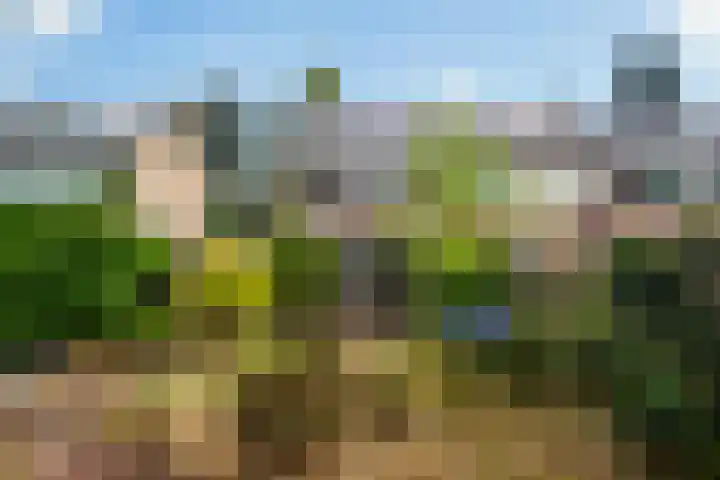 Irenelaan 45 Soest thumbnail 20