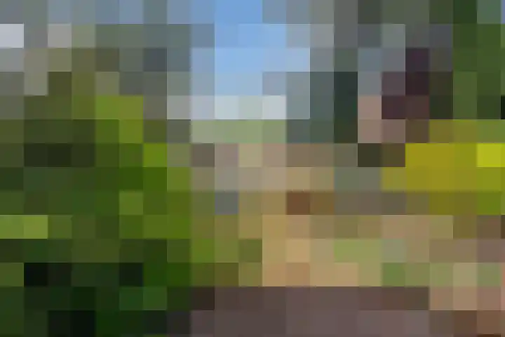 Irenelaan 45 Soest thumbnail 21