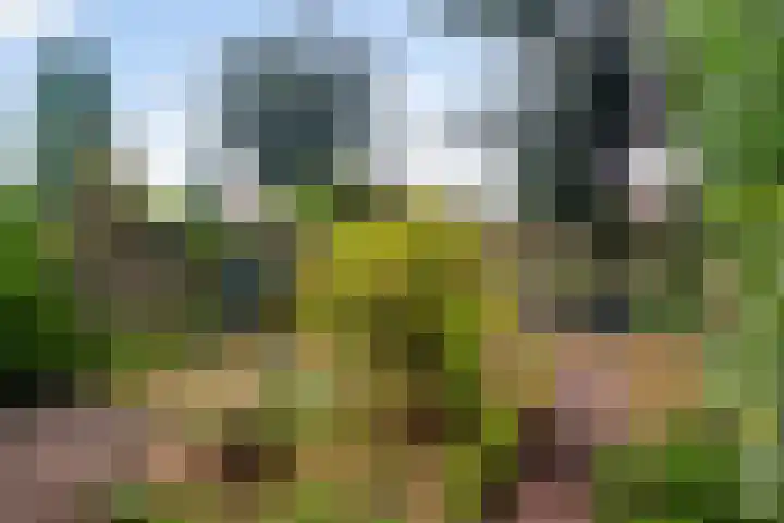 Irenelaan 45 Soest thumbnail 22