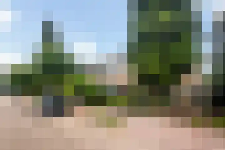 Irenelaan 45 Soest thumbnail 23