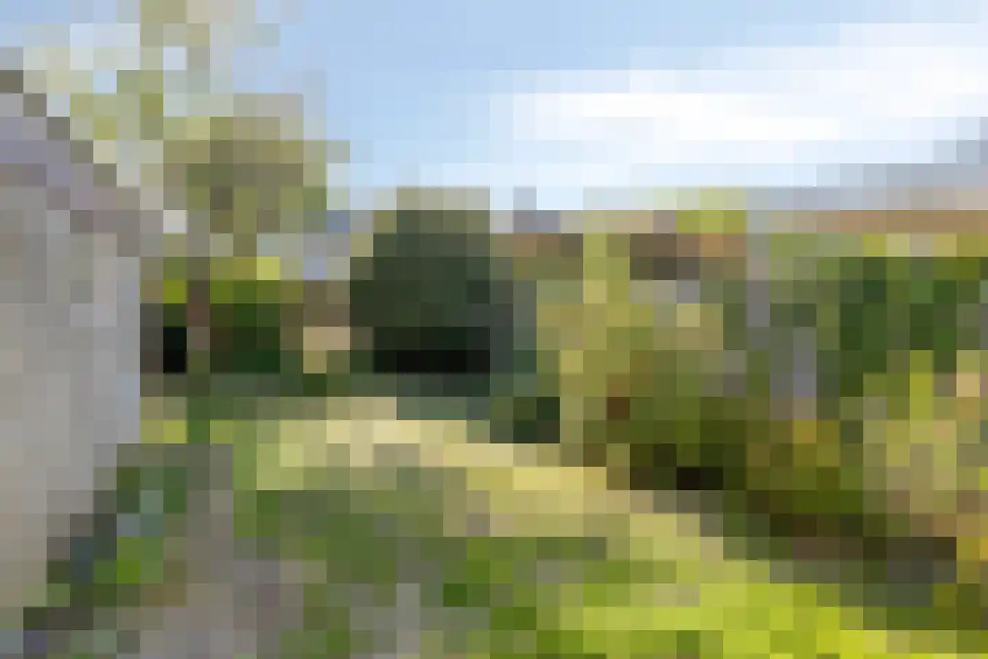 Irenelaan 56 Weert thumbnail 29