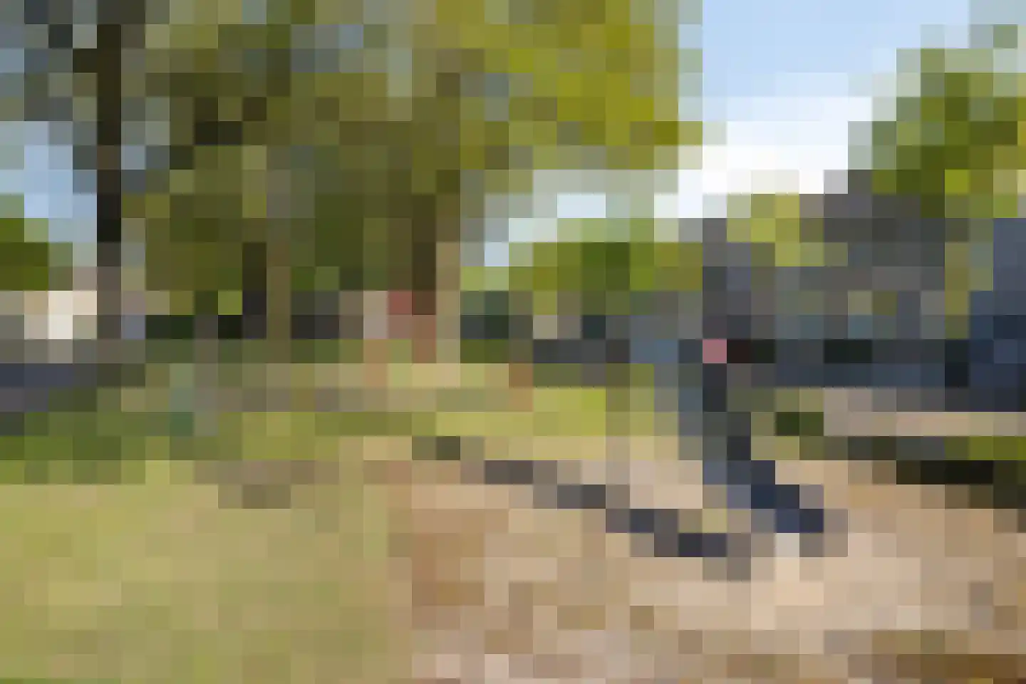 Irenelaan 56 Weert thumbnail 32