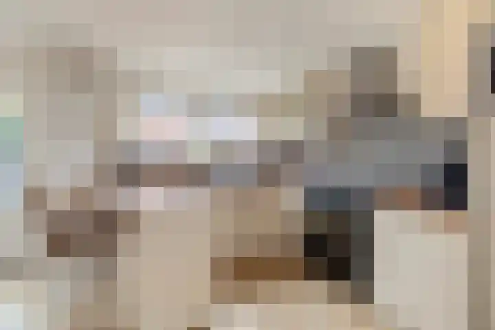 Irenelaan 58 Vlijmen thumbnail 11