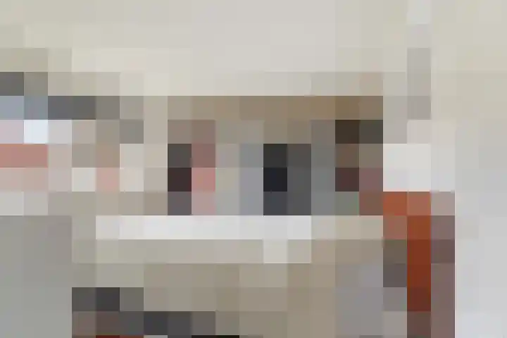Irenelaan 58 Vlijmen thumbnail 16