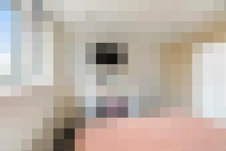 Irenelaan 58 Vlijmen thumbnail 21