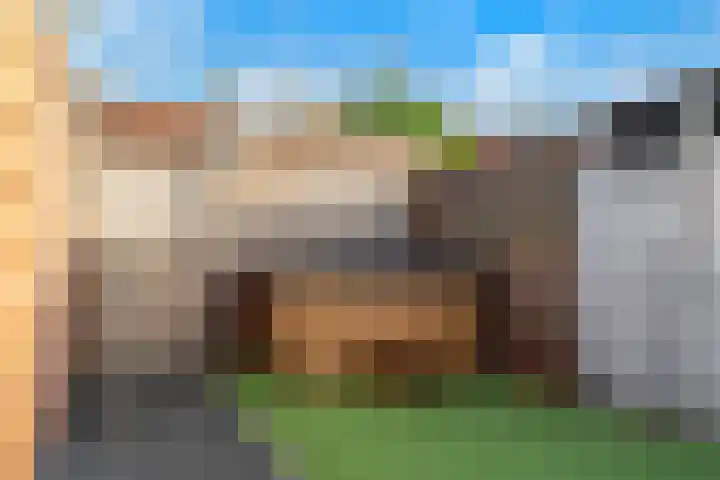 Irenelaan 58 Vlijmen thumbnail 29