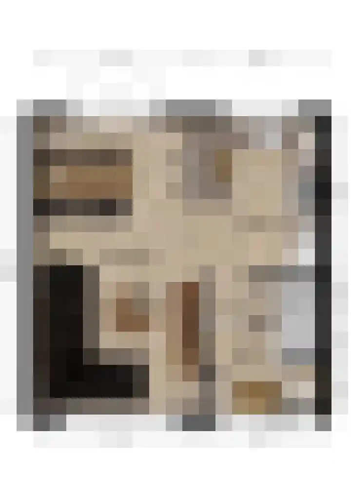 Irenelaan 58 Vlijmen thumbnail 33