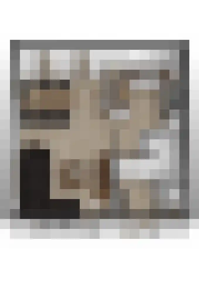 Irenelaan 58 Vlijmen thumbnail 34