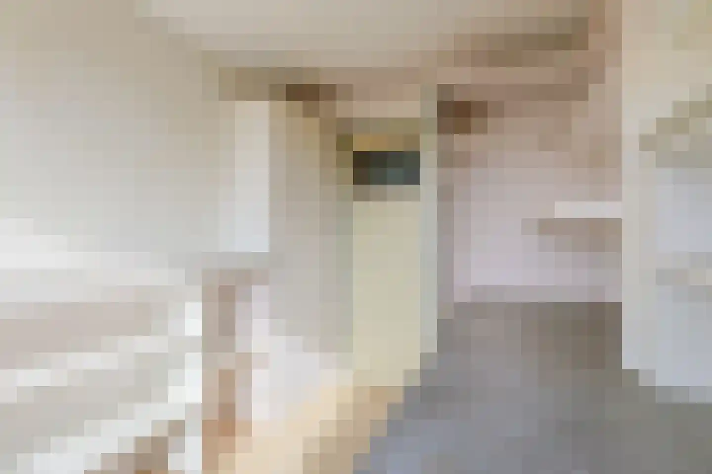 Irenelaan 6 Nieuwkoop thumbnail 24