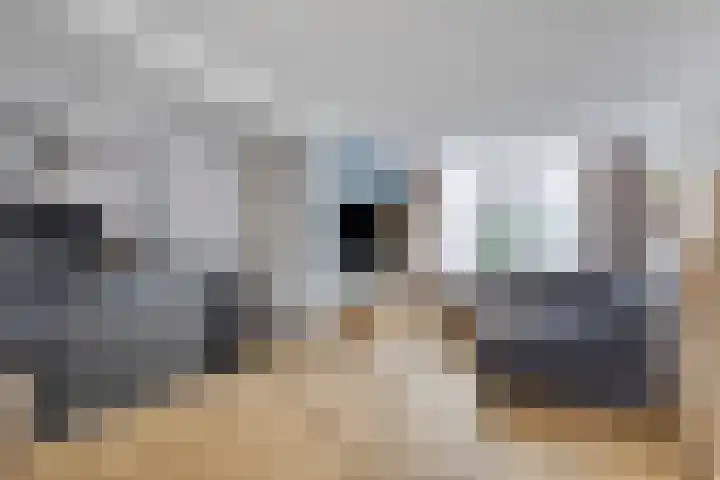 Irenelaan 60 Vlijmen thumbnail 10