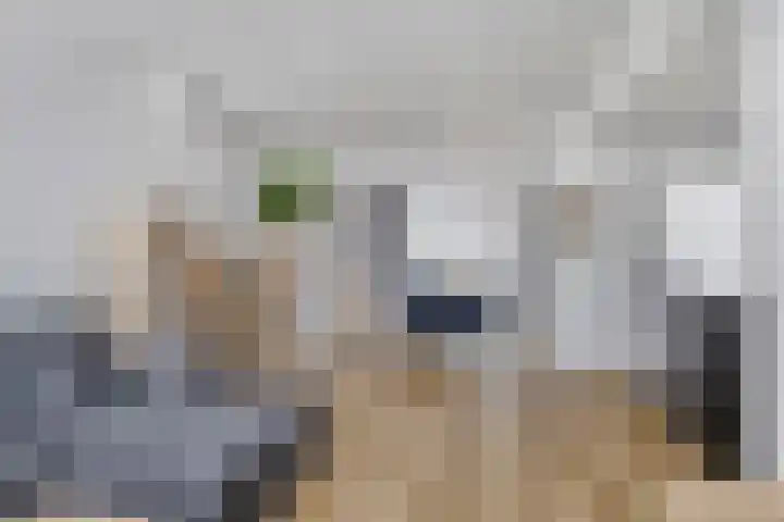 Irenelaan 60 Vlijmen thumbnail 11