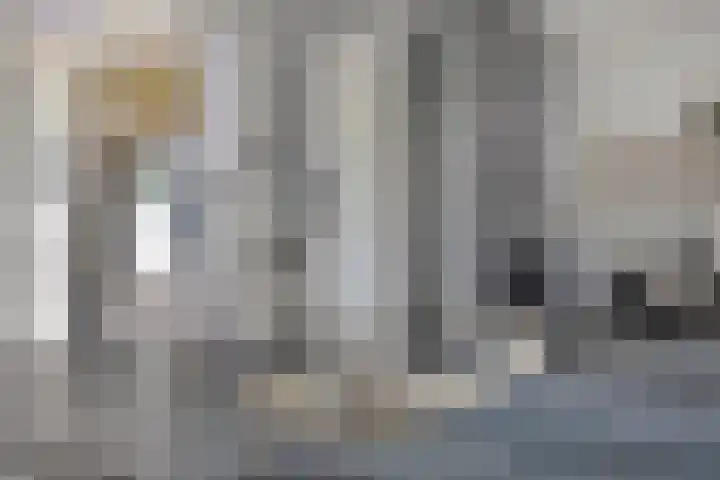 Irenelaan 60 Vlijmen thumbnail 14