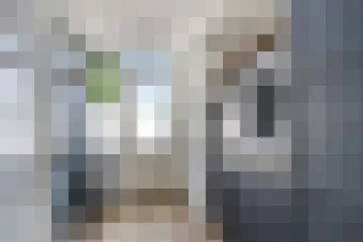 Irenelaan 60 Vlijmen thumbnail 16