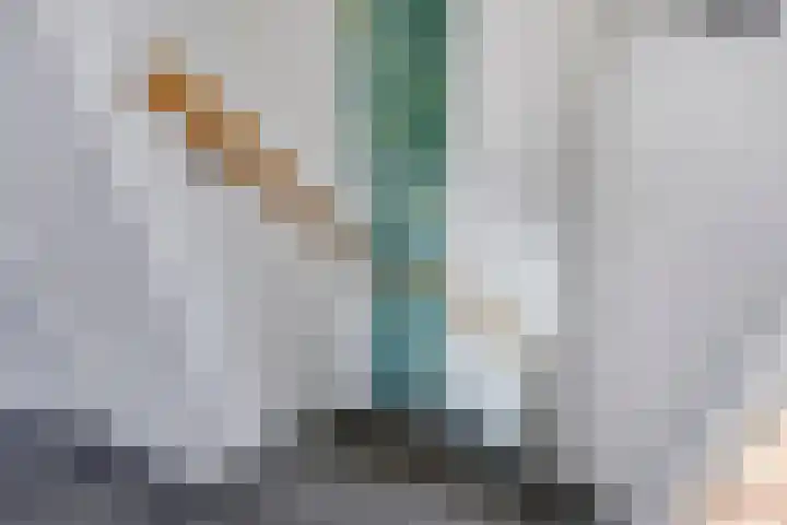 Irenelaan 60 Vlijmen thumbnail 17