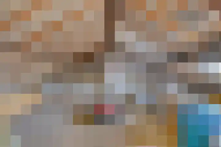 Irenelaan 60 Vlijmen thumbnail 29