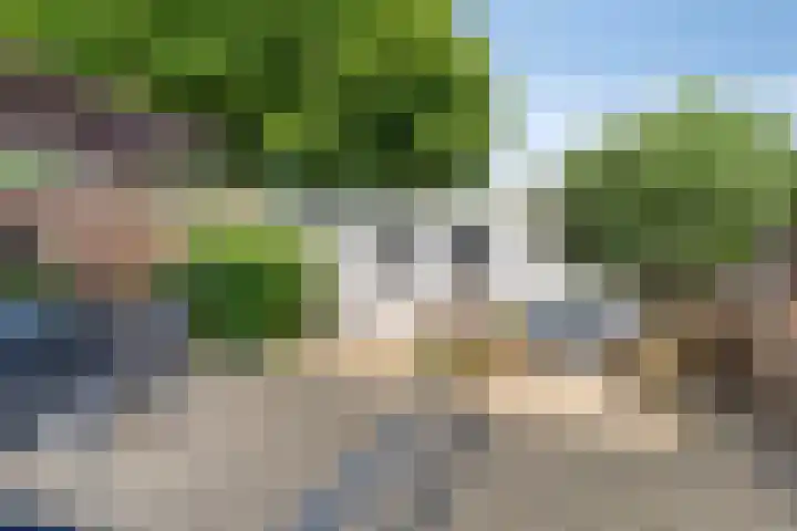 Irenelaan 60 Vlijmen thumbnail 30