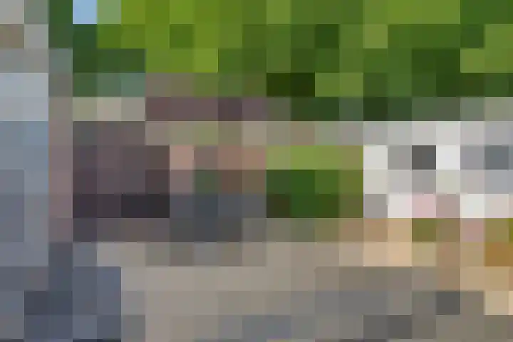 Irenelaan 60 Vlijmen thumbnail 31