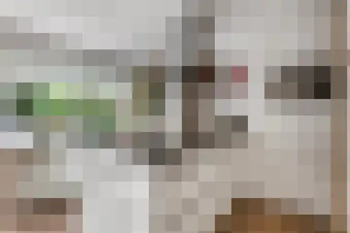 Irenelaan 67 Ede thumbnail 12