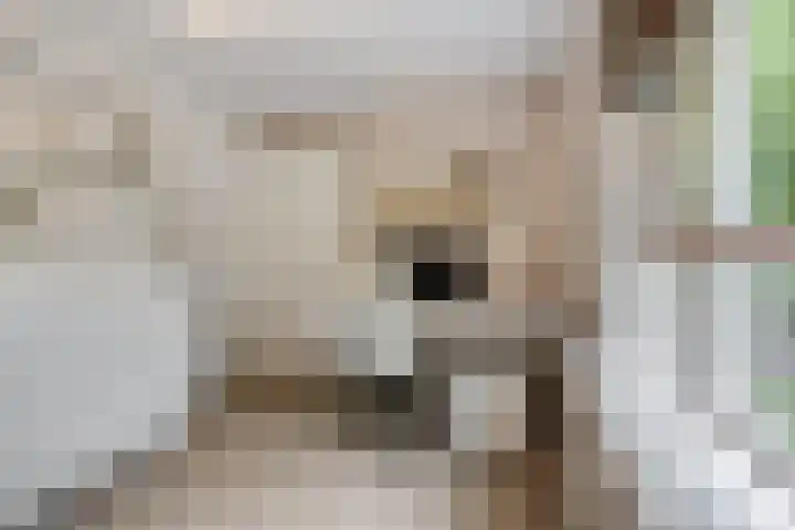 Irenelaan 67 Ede thumbnail 19