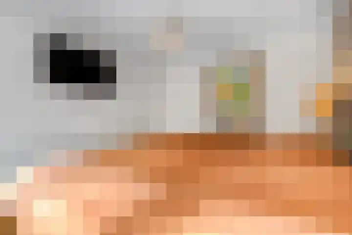 Irenelaan 67 Ede thumbnail 22