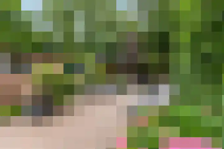 Irenelaan 67 Ede thumbnail 30