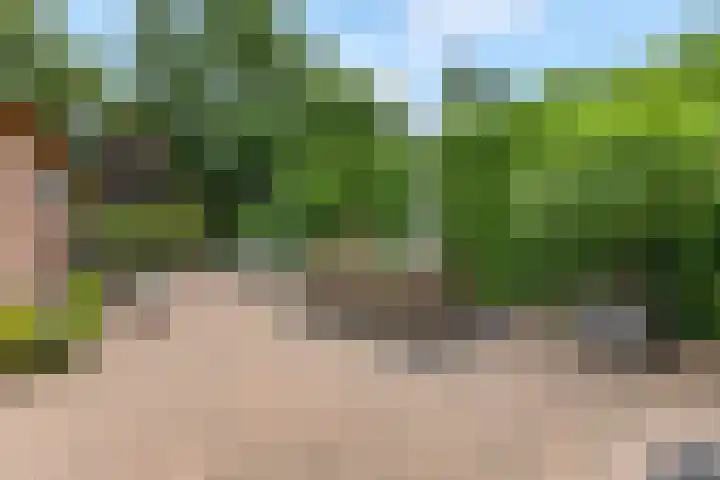 Irenelaan 67 Ede thumbnail 31