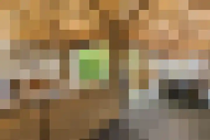 Irenelaan 67 Ede thumbnail 36