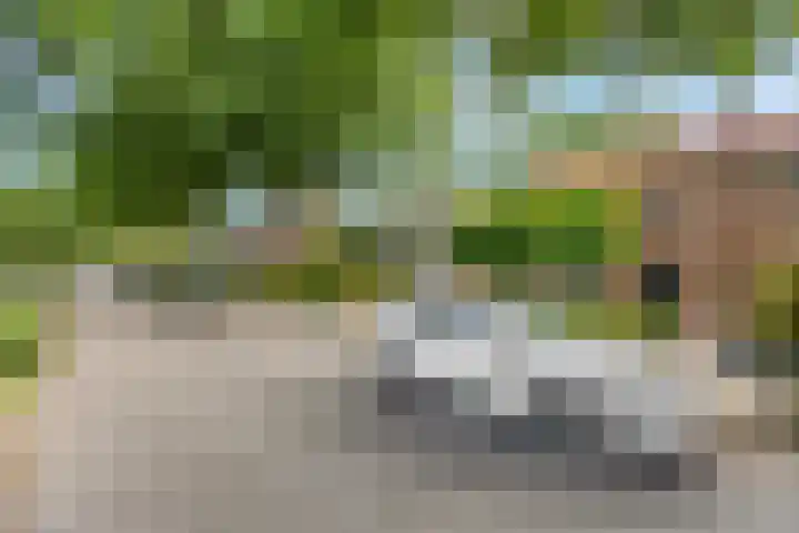 Irenelaan 67 Ede thumbnail 44