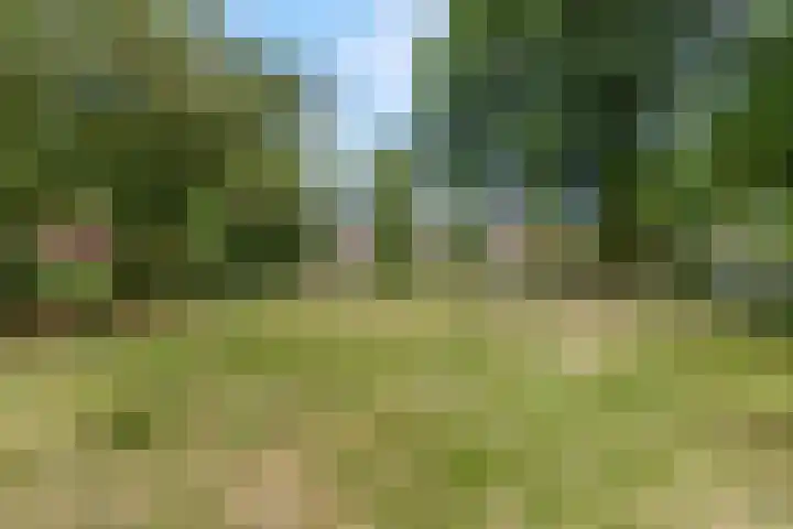 Irenelaan 67 Ede thumbnail 47