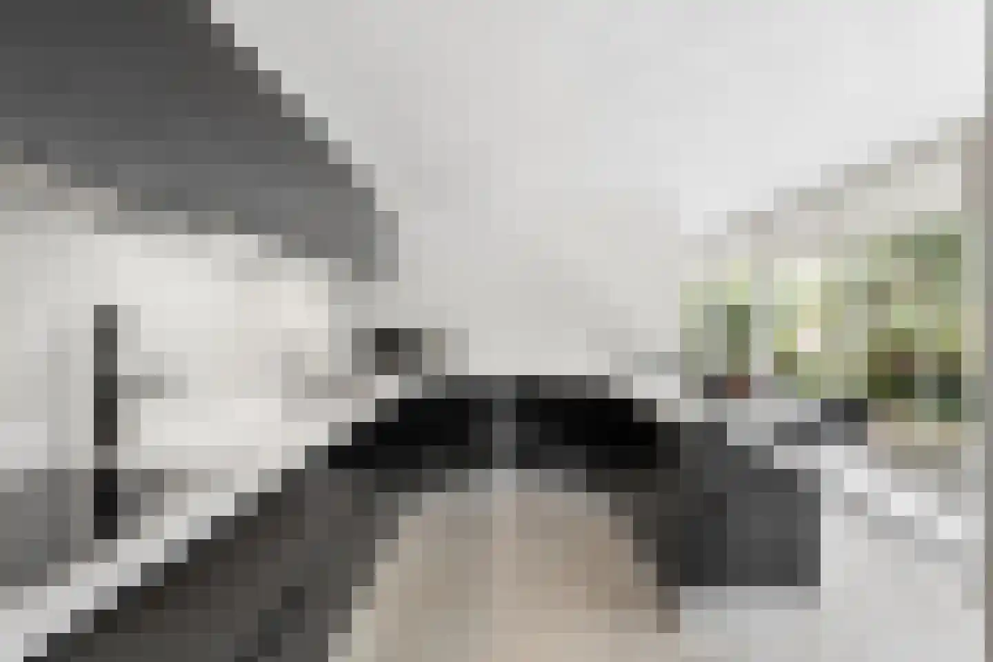Irenelaan 74 Ede thumbnail 10