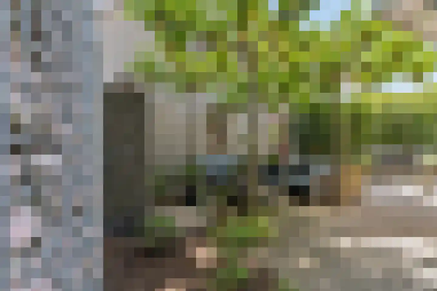 Irenelaan 74 Ede thumbnail 44